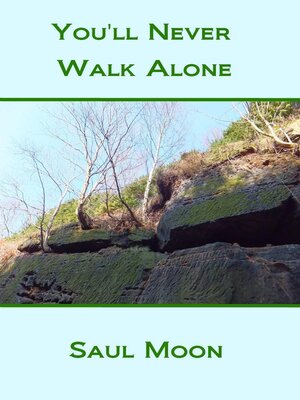 cover image of You'll Never Walk Alone